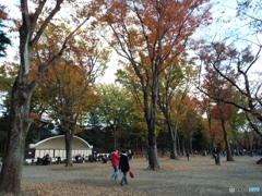 井の頭恩賜公園19