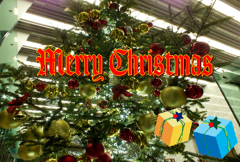 メリーX'mas4