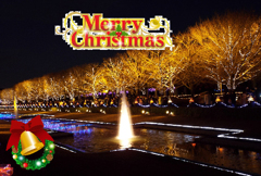 ☆メリーX'mas10