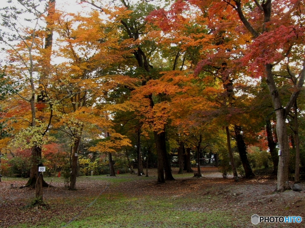 月の石もみじ公園10