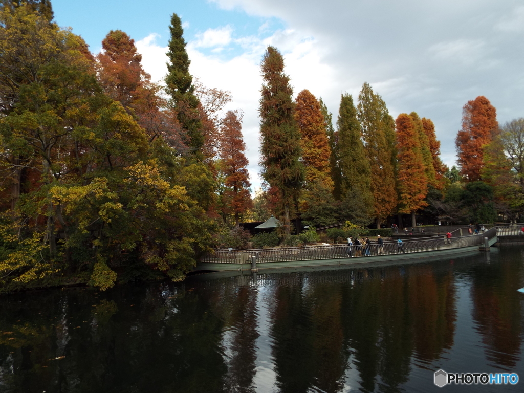 井の頭恩賜公園1