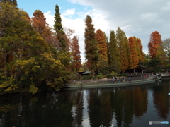 井の頭恩賜公園1