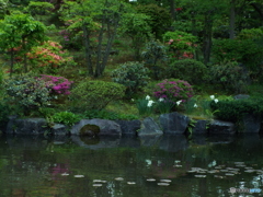 日本庭園3