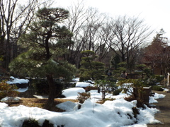 残雪の日本庭園13