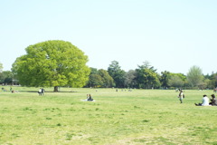 DSCF0521