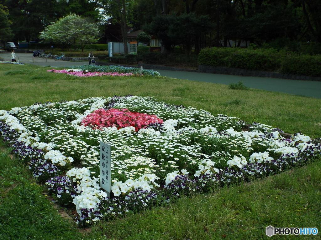 ふれあい花壇7