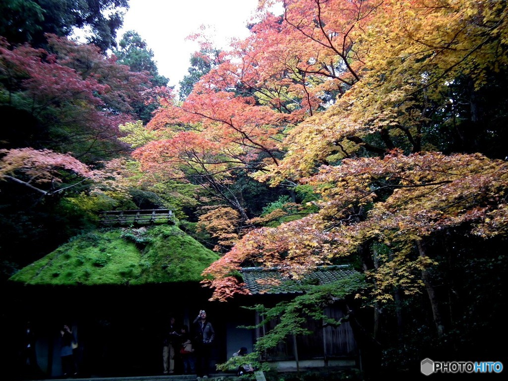 法然院 593