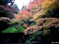 法然院 593