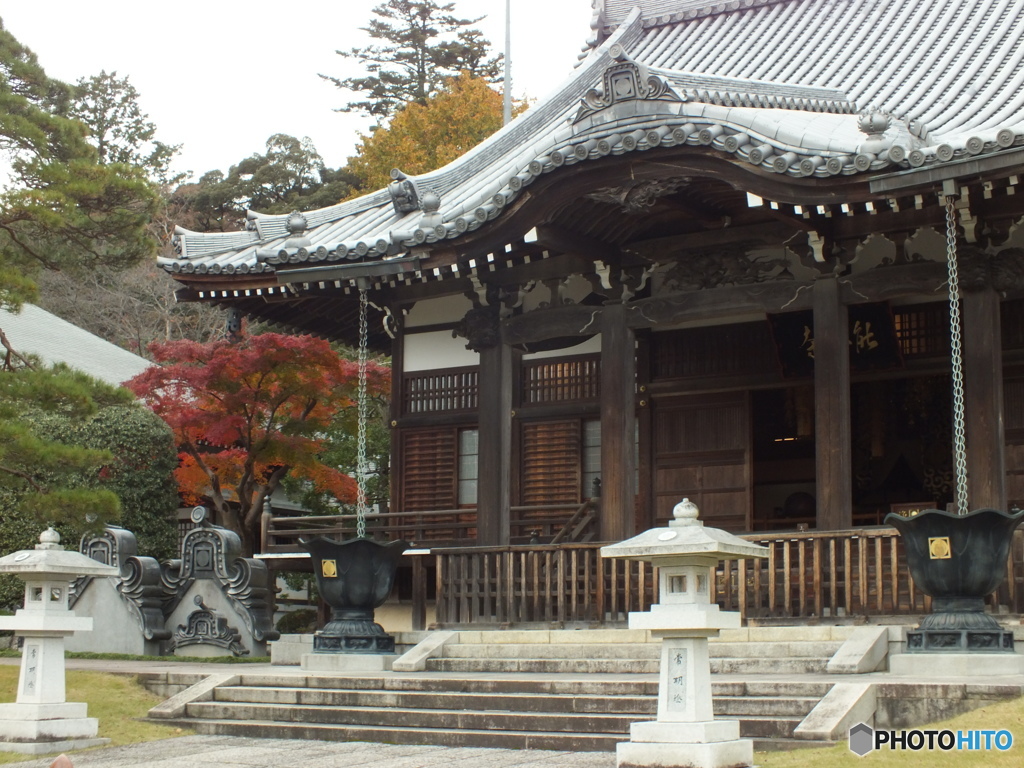 紅葉の能仁寺7