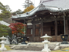 紅葉の能仁寺7