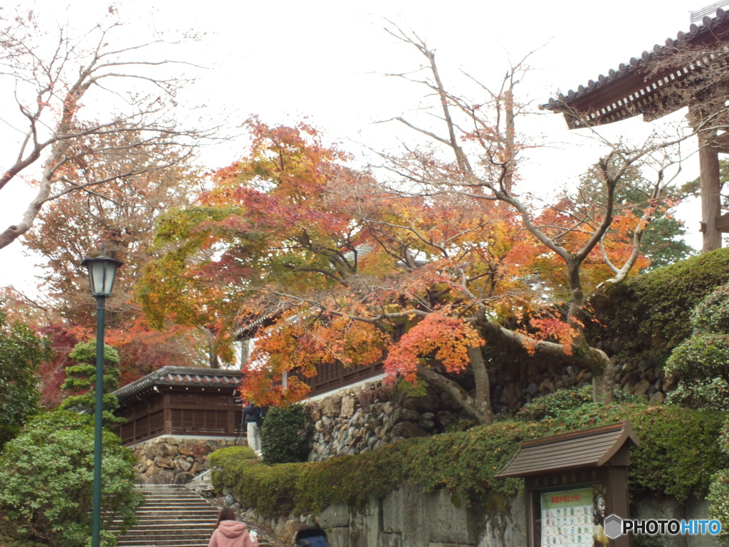 紅葉の能仁寺18