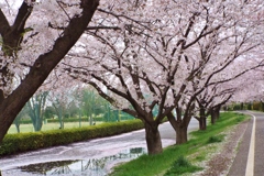 DSCF0044
