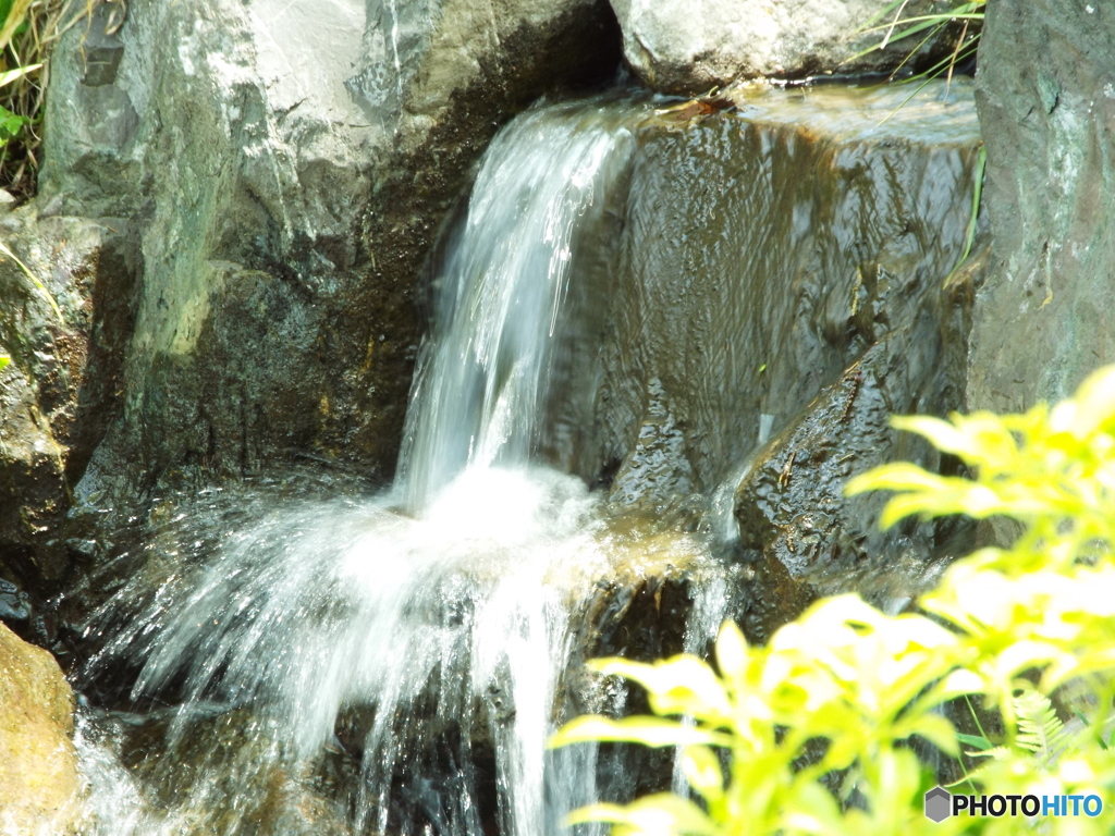 日本庭園5