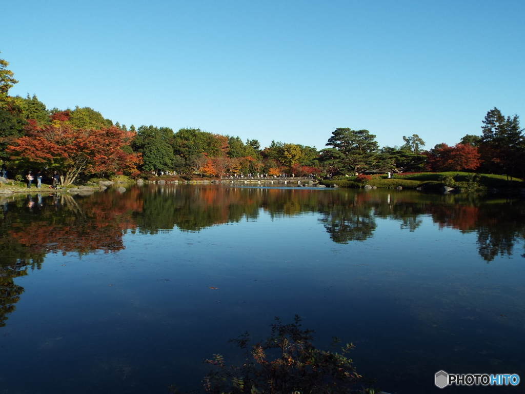 日本庭園3