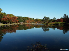 日本庭園3