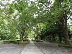 初秋の智光山公園散策1