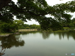 日本庭園9