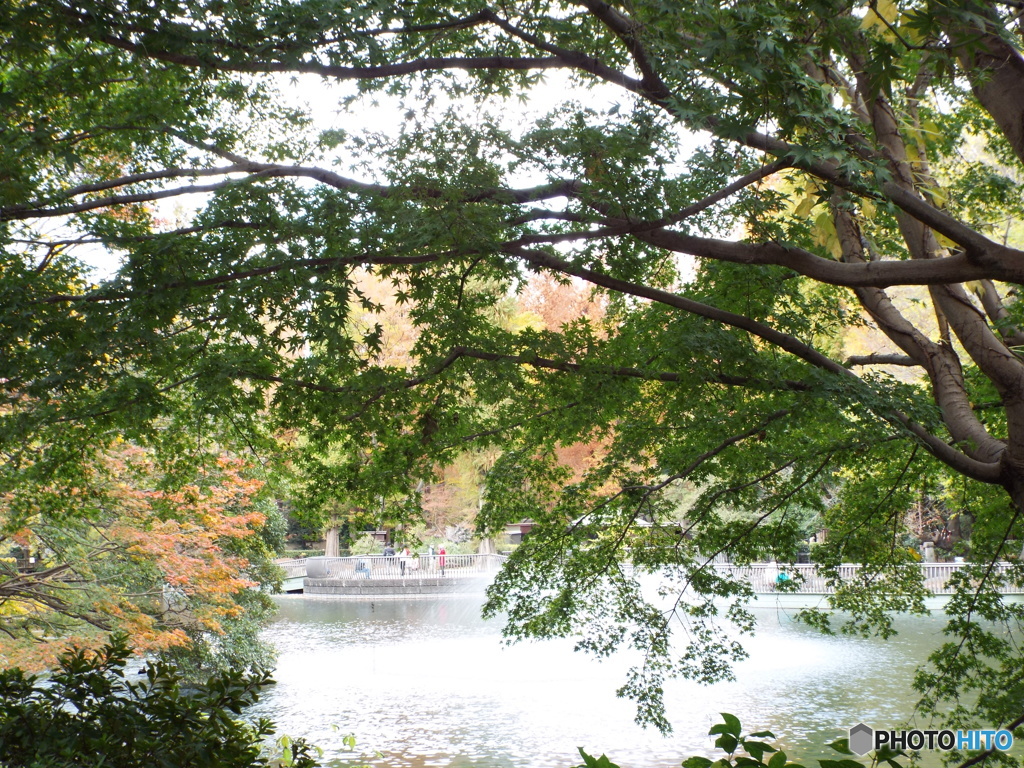 井の頭池周辺17