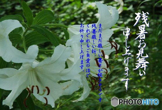 残暑2