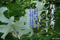 残暑2