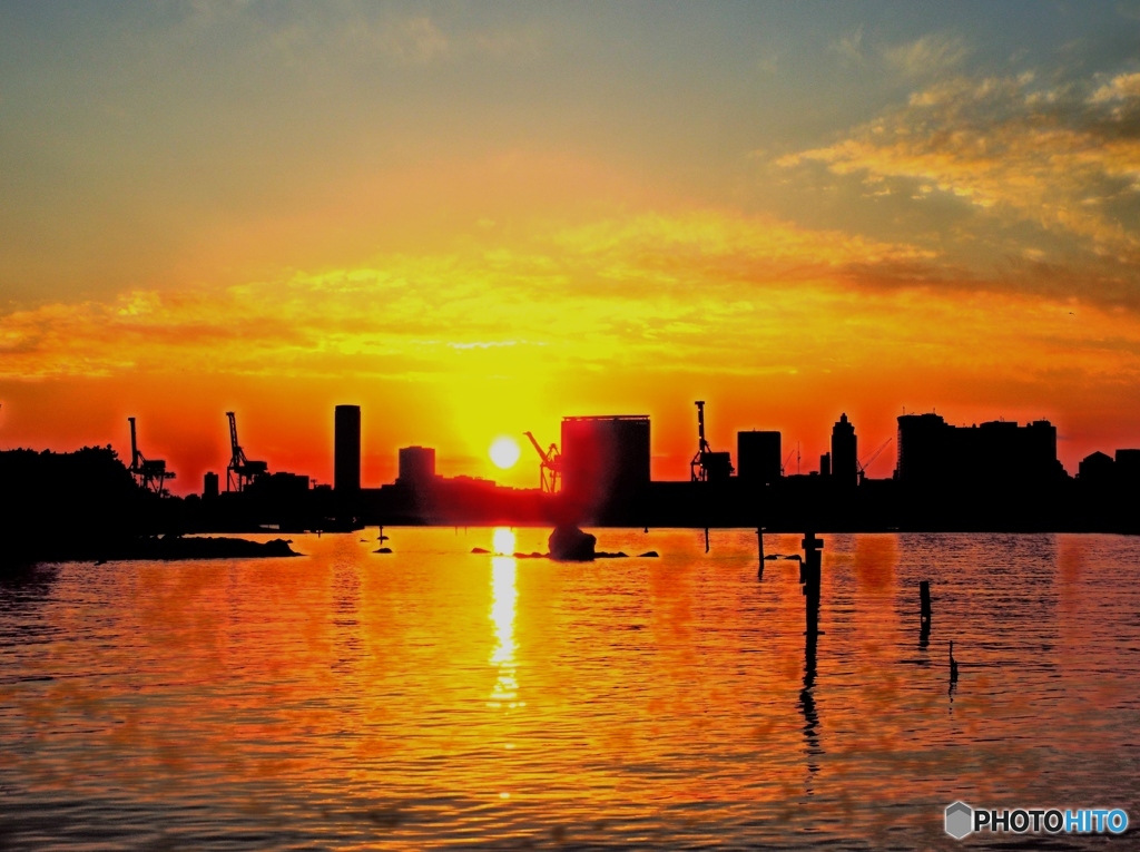 お台場海浜公園8