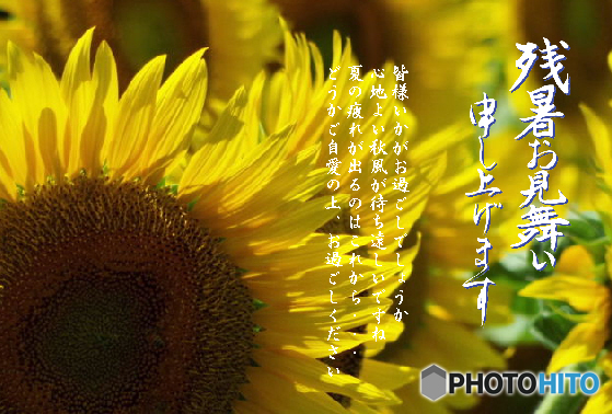 残暑4