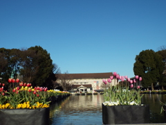 上野公園・噴水広場12