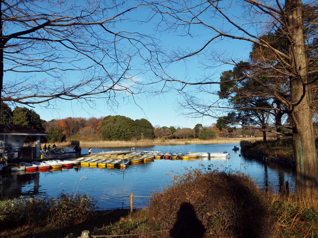 昭和記念公園2