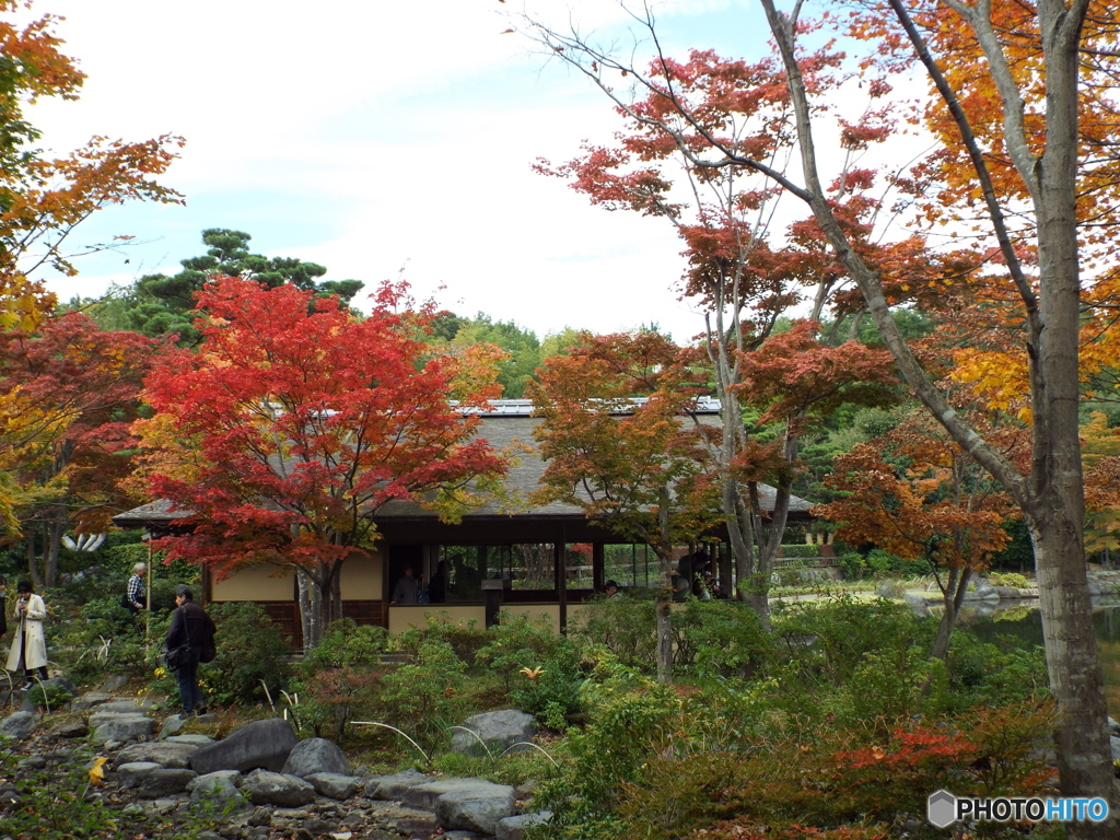 紅葉の日本庭園32