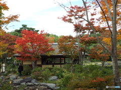 紅葉の日本庭園32