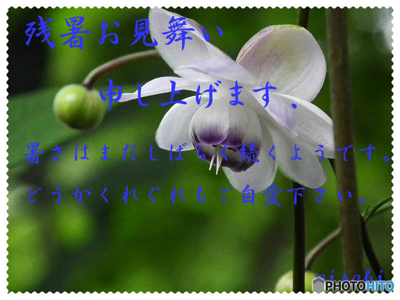 残暑20
