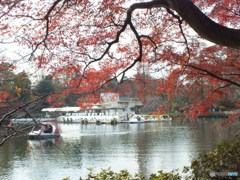 井の頭恩賜公園3