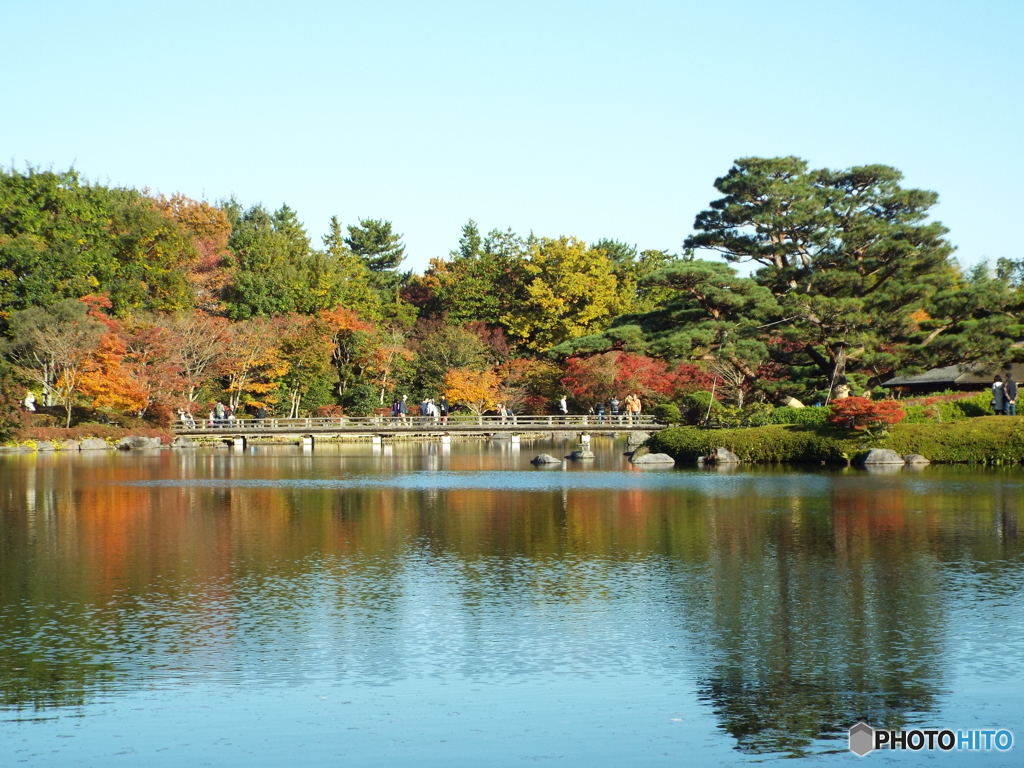 日本庭園2