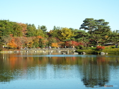 日本庭園2