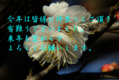 年末のご挨拶10