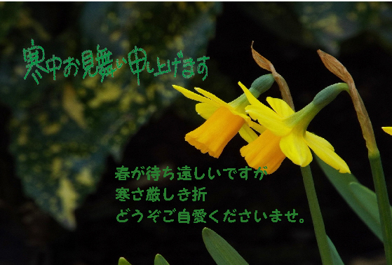 寒中お見舞い16