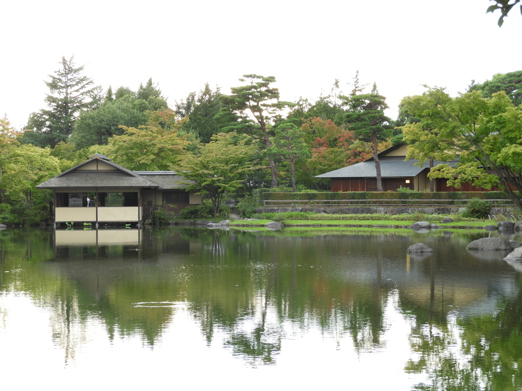 初秋の日本庭園16