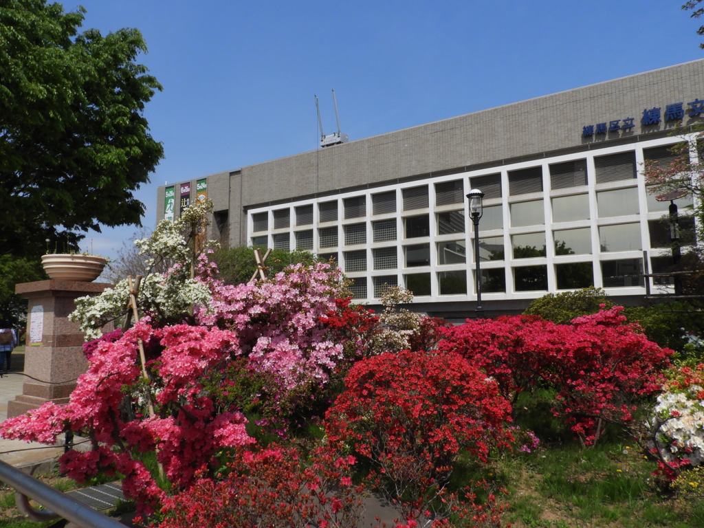 平成つつじ公園1