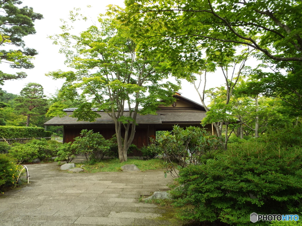 日本庭園3