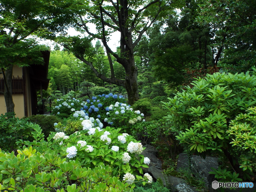 日本庭園2