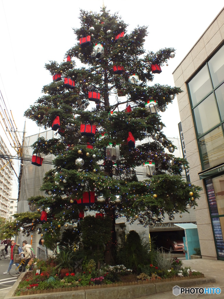 クリスマスツリー3