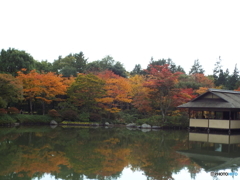 紅葉の日本庭園16