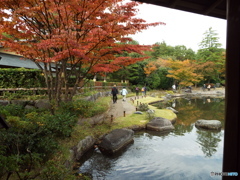 紅葉の日本庭園38
