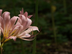 DSCF0164