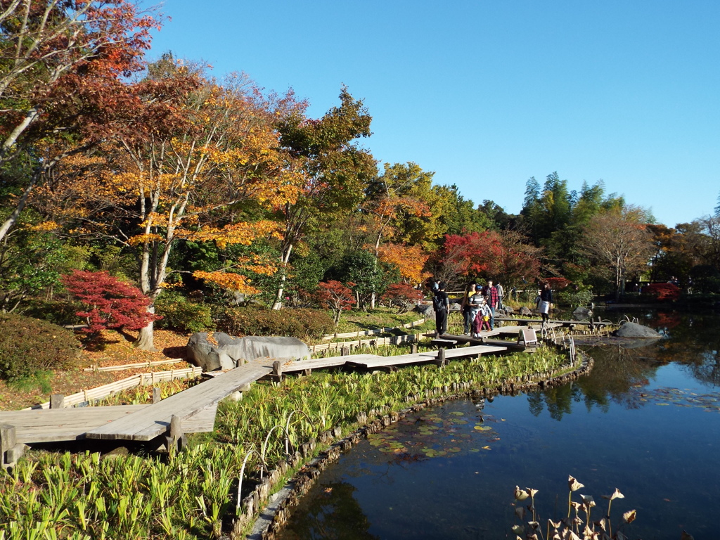 日本庭園6