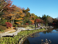 日本庭園6