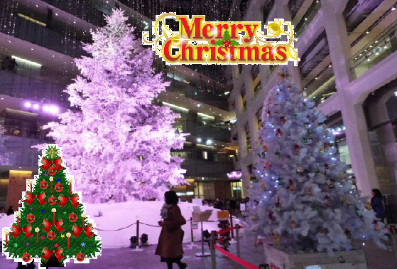 ☆メリーX'mas1