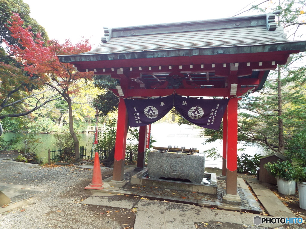井の頭恩賜公園4