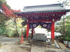 井の頭恩賜公園4