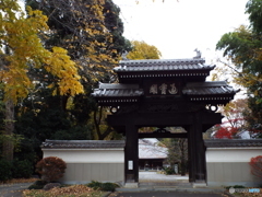 天岑寺6